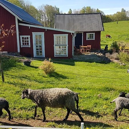 Sjoebacken Gard Bed & Breakfast Lerdala ภายนอก รูปภาพ