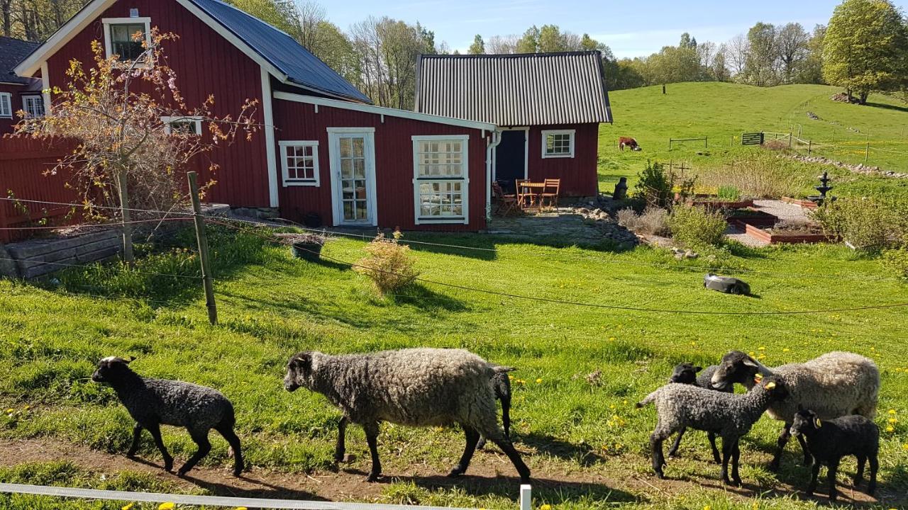 Sjoebacken Gard Bed & Breakfast Lerdala ภายนอก รูปภาพ